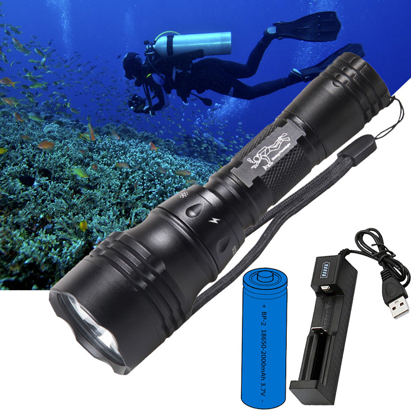 Dalış Lambası Taşınabilir 10W  - Fish Finder Charger incelemesi ve fiyatı